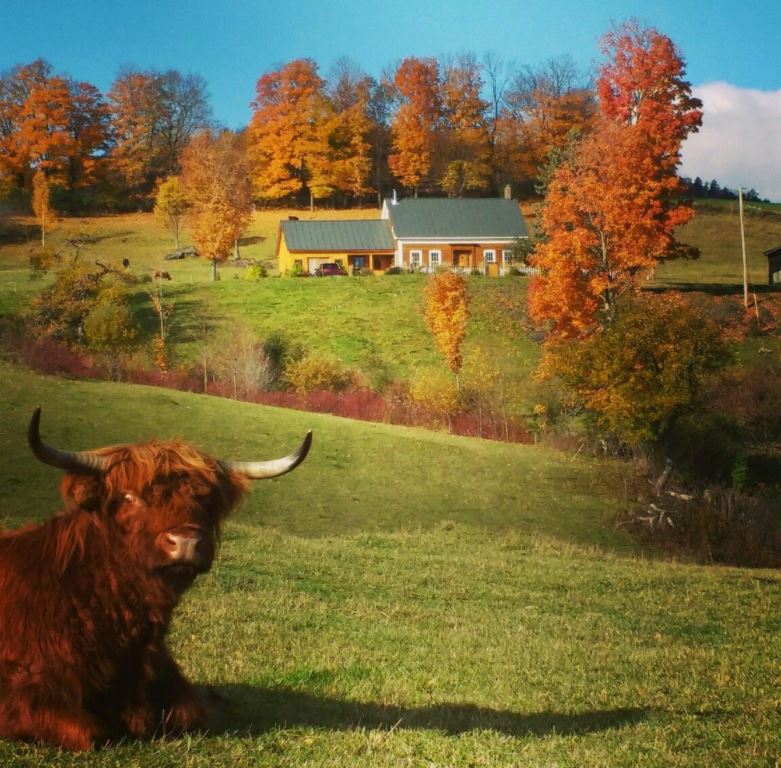 3535 Eagle Peak Road Brookfield, VT 05060 - Photo 28 of 40