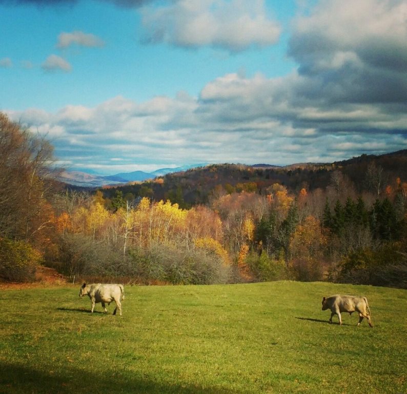 3535 Eagle Peak Road Brookfield, VT 05060 - Photo 30 of 40