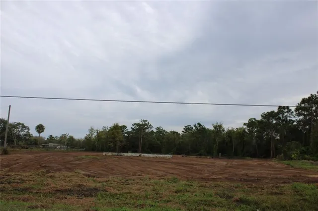 a view of a grassy field