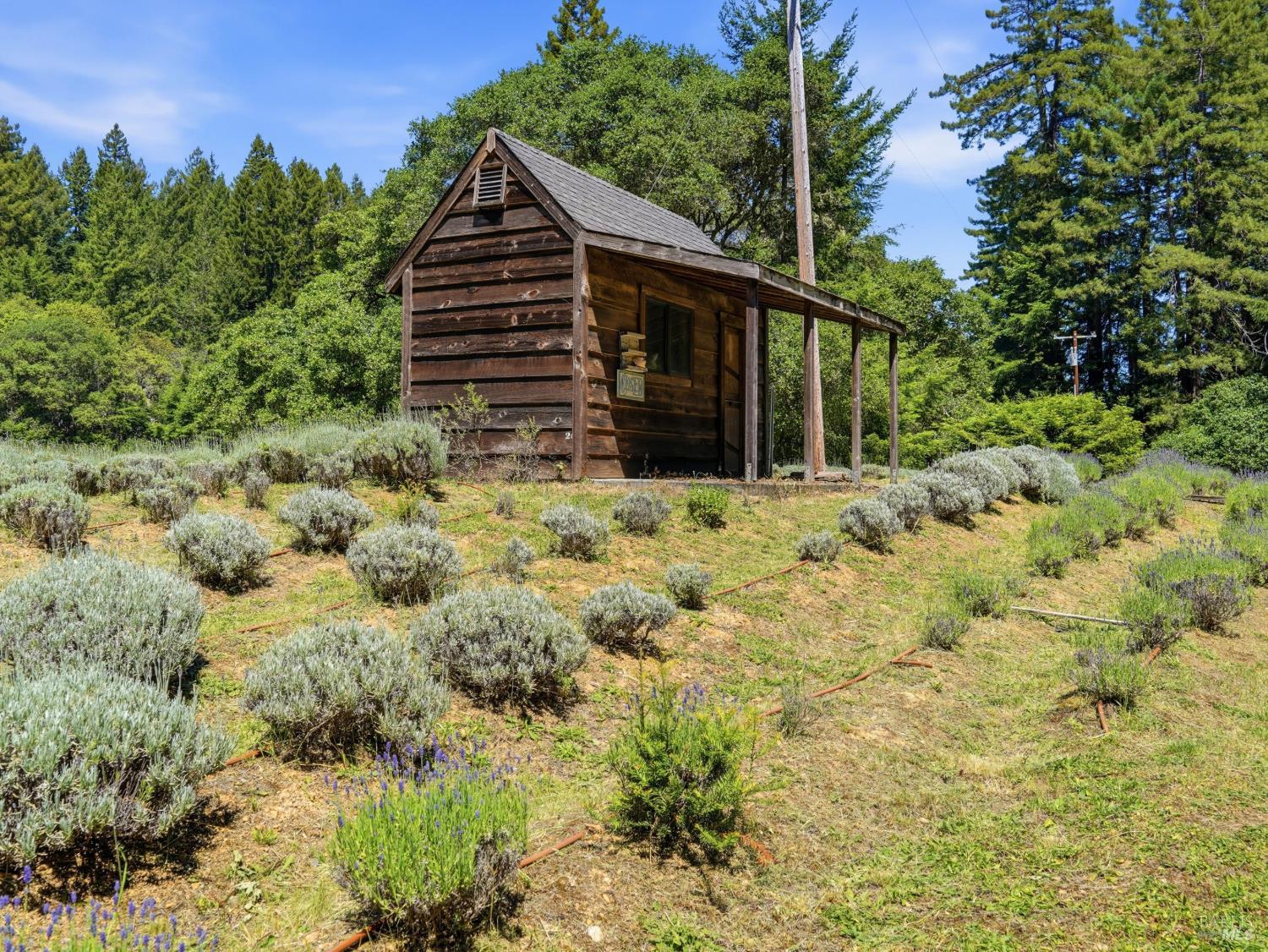31397 Seaview Road Cazadero, CA 95421 - Photo 41 of 47 a view of a house with a yard