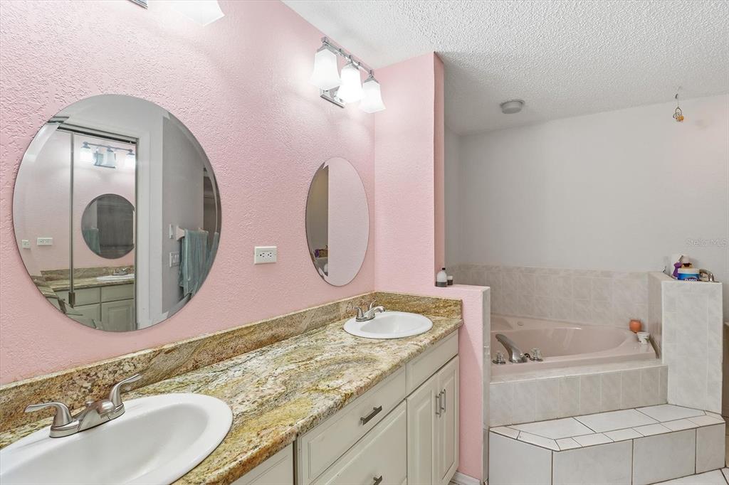 1046 Castille Drive Spring Hill, FL 34608 - Photo 22 of 44 a bathroom with a granite countertop tub sink and mirror
