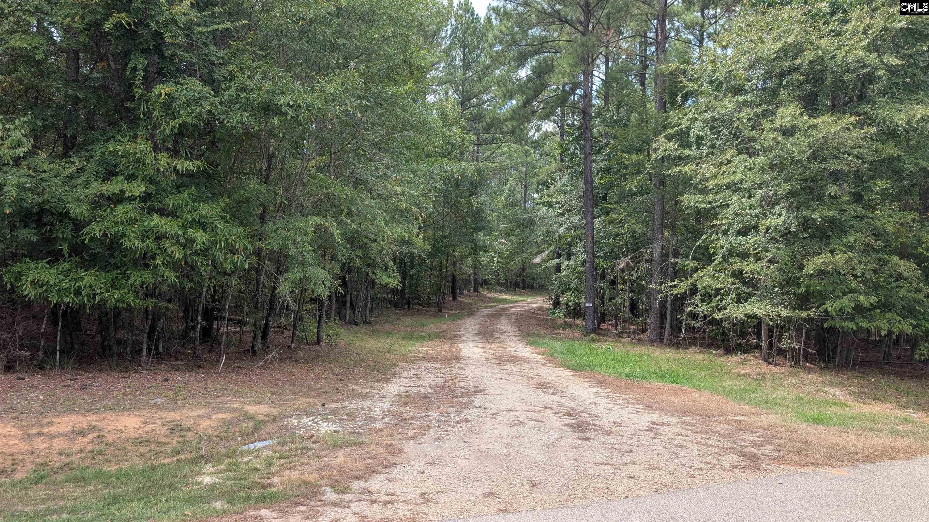 19 North Dutchman Creek Road Ridgeway, SC 29130 - Photo 19 of 43 Gallery Image 19