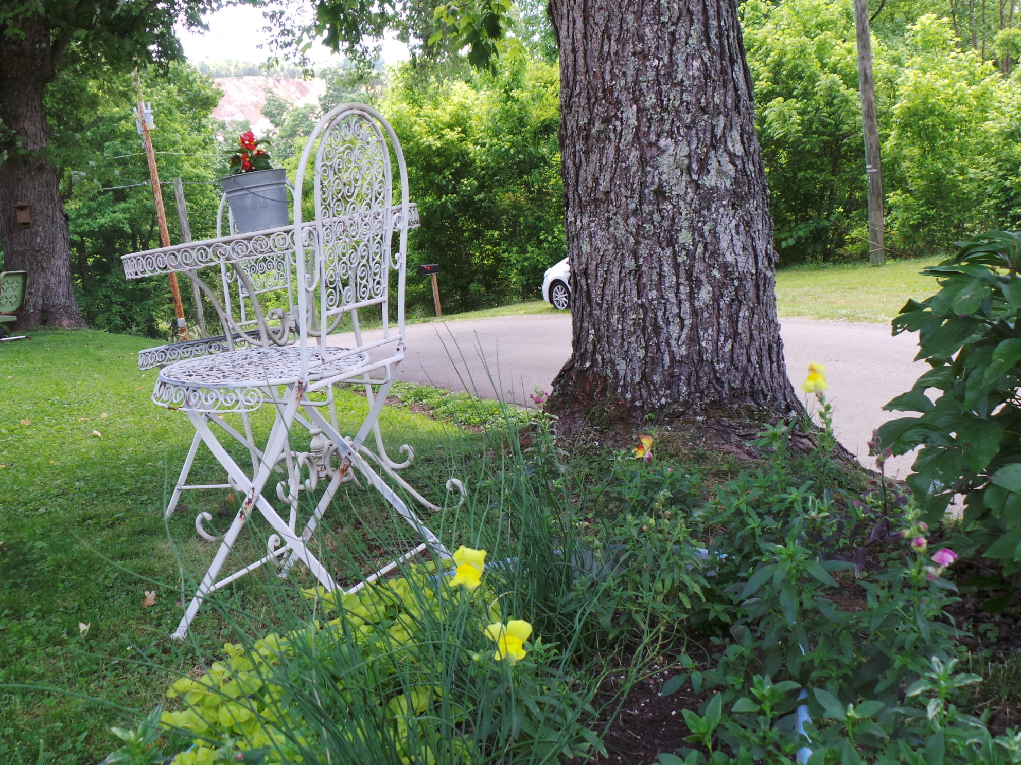 1905 Boozy Creek Road Bristol, VA 24202 - Photo 41 of 130 CHARM HERE
