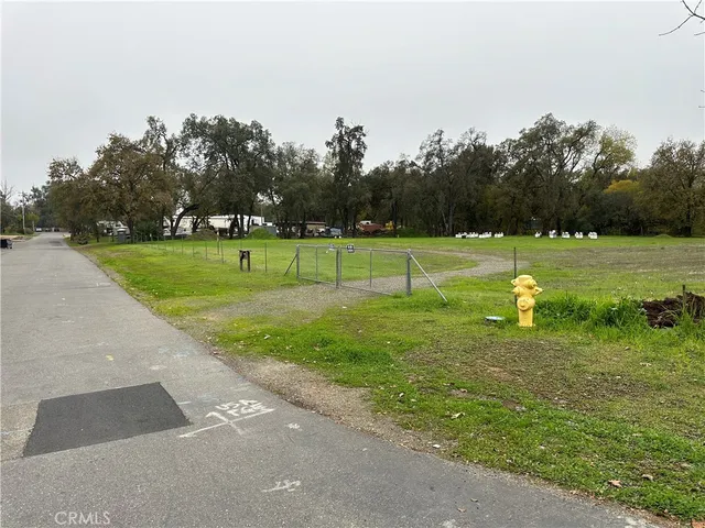 a view of field with tall trees