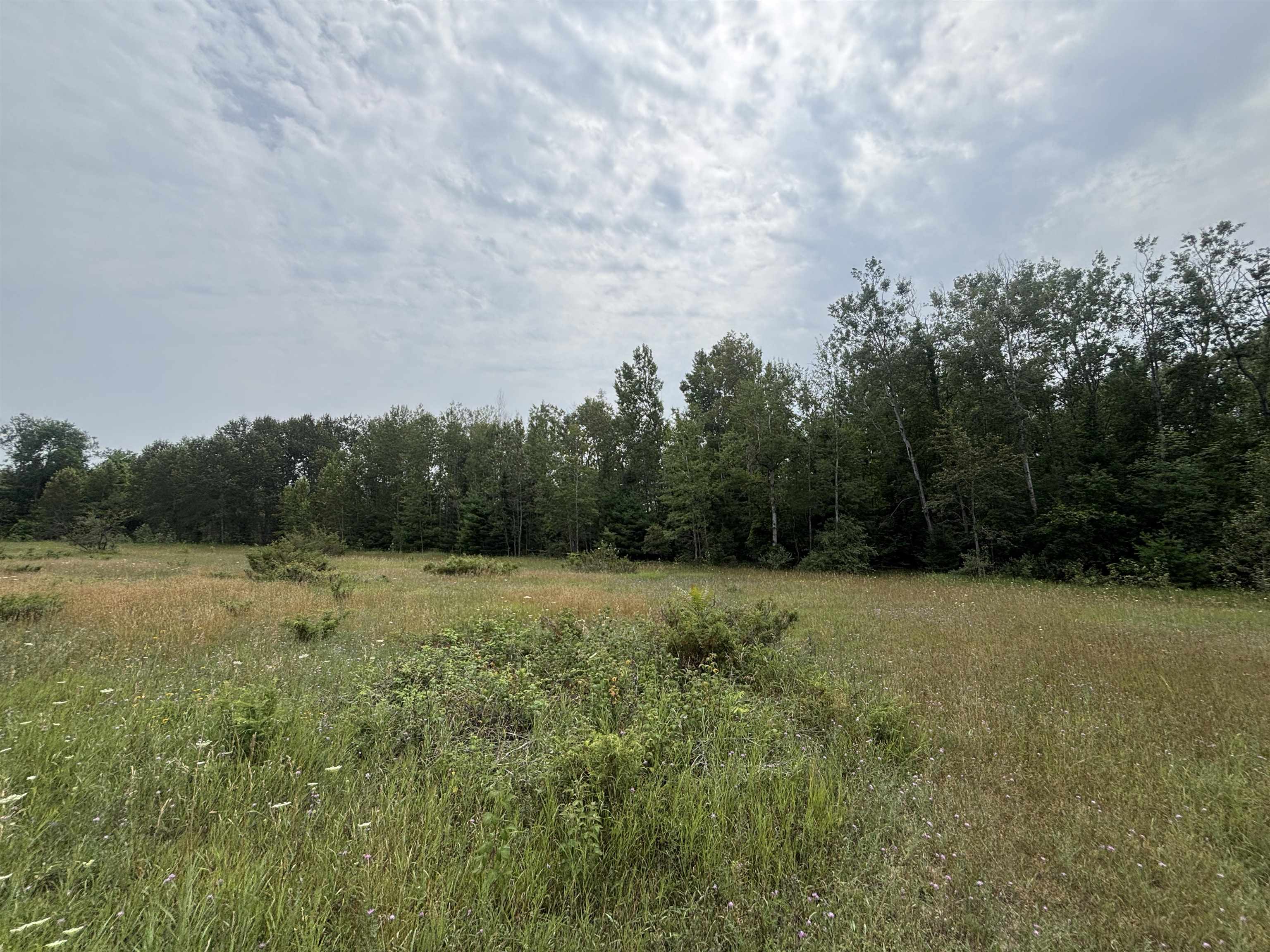 0 Lore Road Ellsworth, MI 49729 - Photo 15 of 15 1948813-856a1837-e05f-4f40-8c58-be8430da5050.JPG