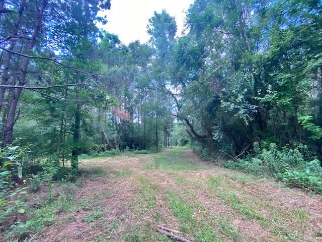 0 Pushapatapa Road Tylertown, MS 39667 - Photo 11 of 12 Photo 11