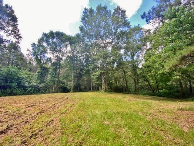 0 Pushapatapa Road Tylertown, MS 39667 - Photo 4 of 12 Photo 4