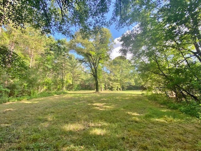 0 Pushapatapa Road Tylertown, MS 39667 - Photo 5 of 12 Photo 5