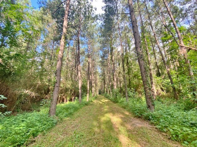 0 Pushapatapa Road Tylertown, MS 39667 - Photo 7 of 12 Photo 7