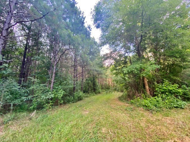 0 Pushapatapa Road Tylertown, MS 39667 - Photo 8 of 12 Photo 8
