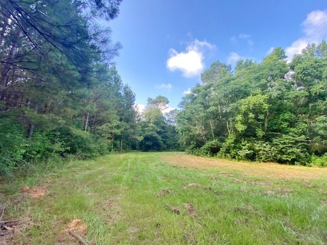 0 Pushapatapa Road Tylertown, MS 39667 - Photo 9 of 12 Photo 9
