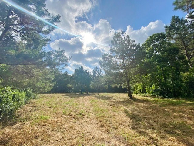 0 Pushapatapa Road Tylertown, MS 39667 - Photo 10 of 12 Photo 10