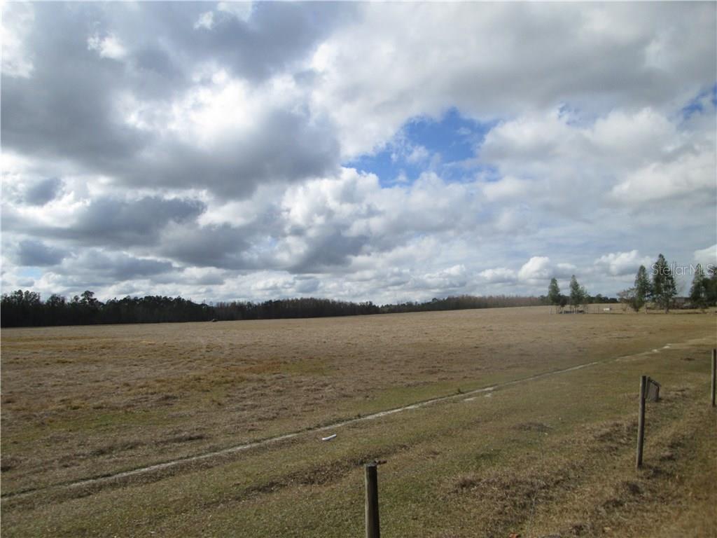 South Berry Groves Road Clermont, FL 34714 - Photo 1 of 1 Gallery Image 1