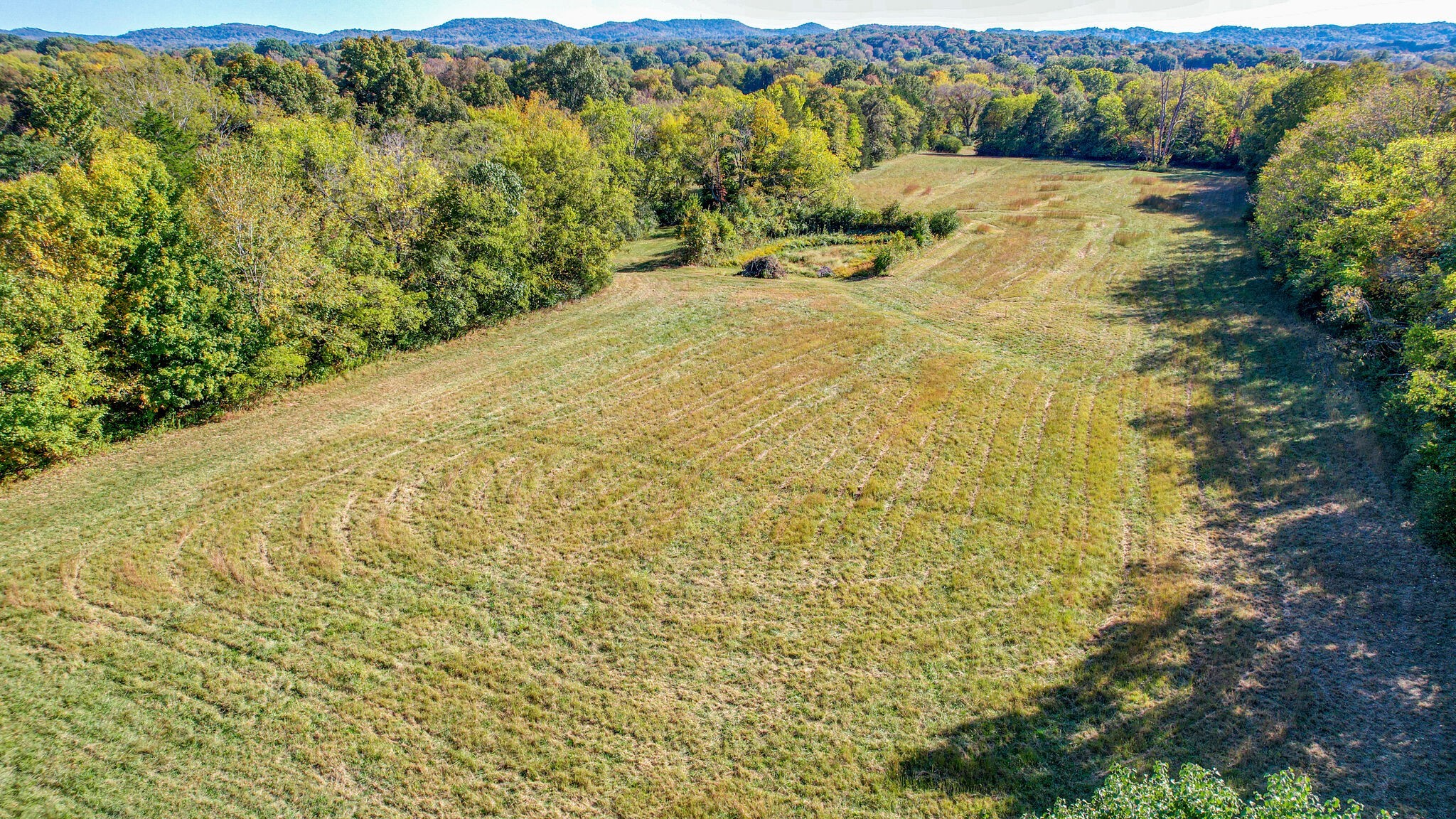 4365 North Chapel Road Franklin, TN 37067 - Photo 4 of 8 a view of a yard
