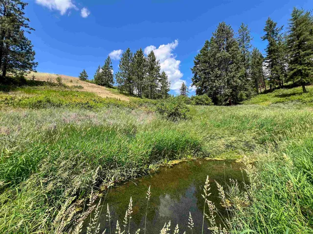 $440,000 | 598 North 395th Highway, Kettle Falls, WA 99141