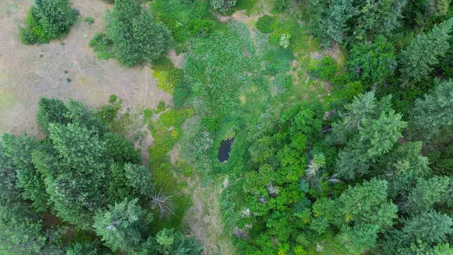 $440,000 | 598 North 395th Highway, Kettle Falls, WA 99141