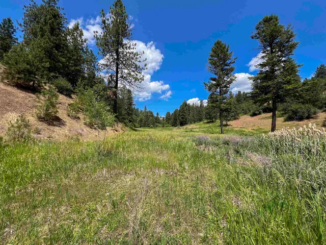 $440,000 | 598 North 395th Highway, Kettle Falls, WA 99141