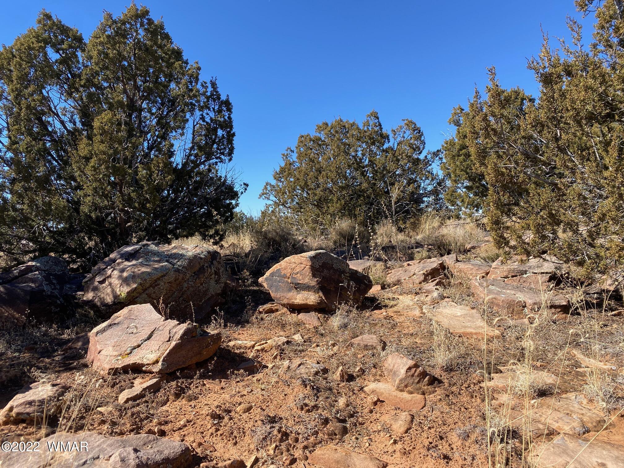 2410 Old Woodruff Road Snowflake, AZ 85937 - Photo 1 of 12