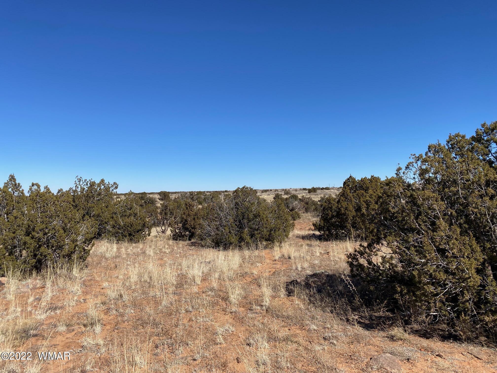2410 Old Woodruff Road Snowflake, AZ 85937 - Photo 12 of 12
