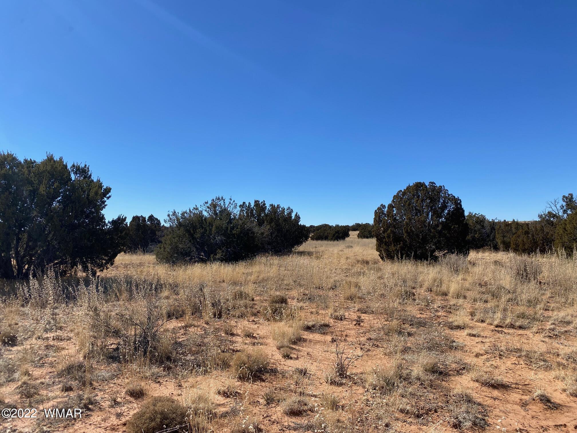 2410 Old Woodruff Road Snowflake, AZ 85937 - Photo 2 of 12