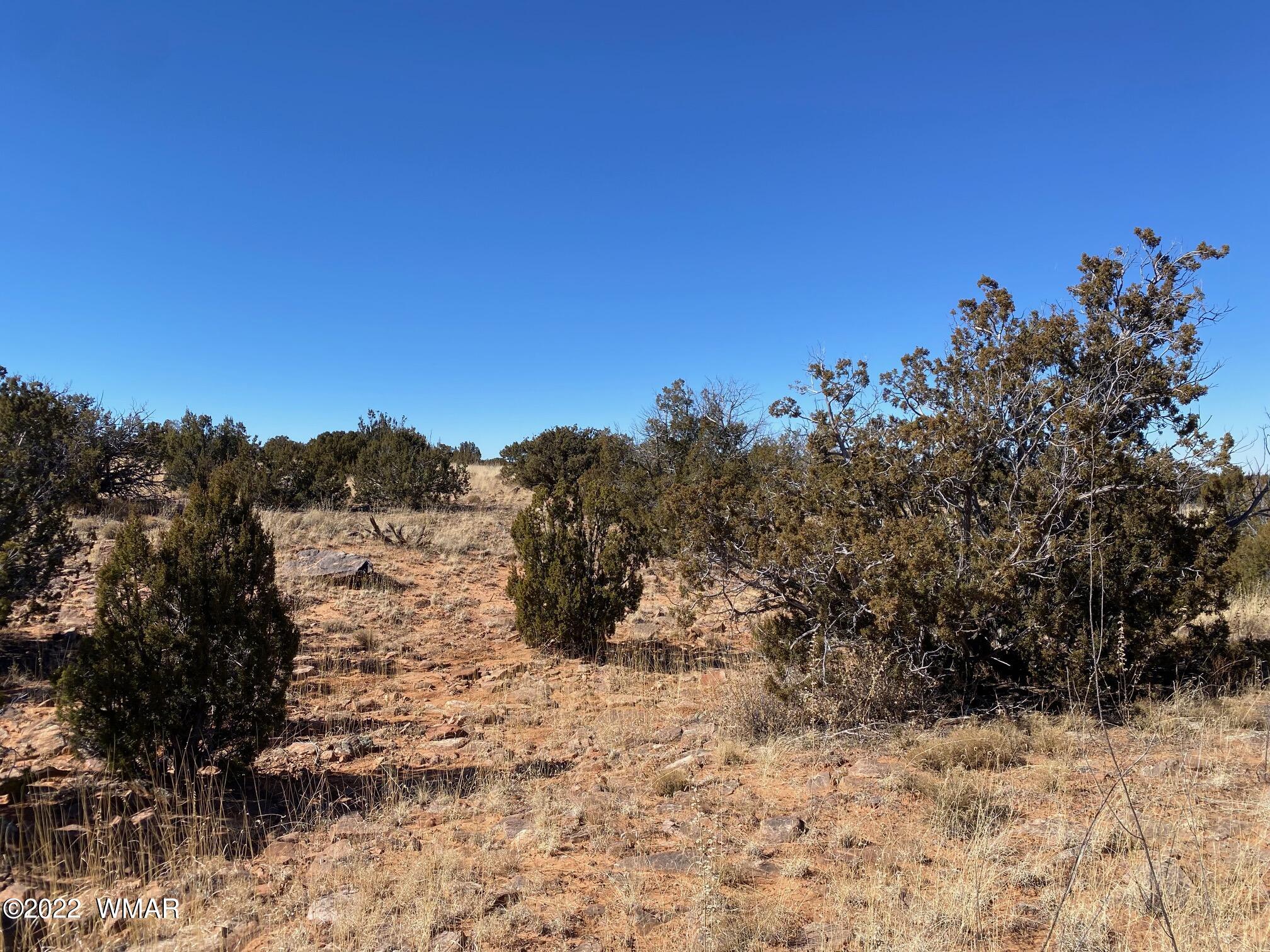 2410 Old Woodruff Road Snowflake, AZ 85937 - Photo 5 of 12