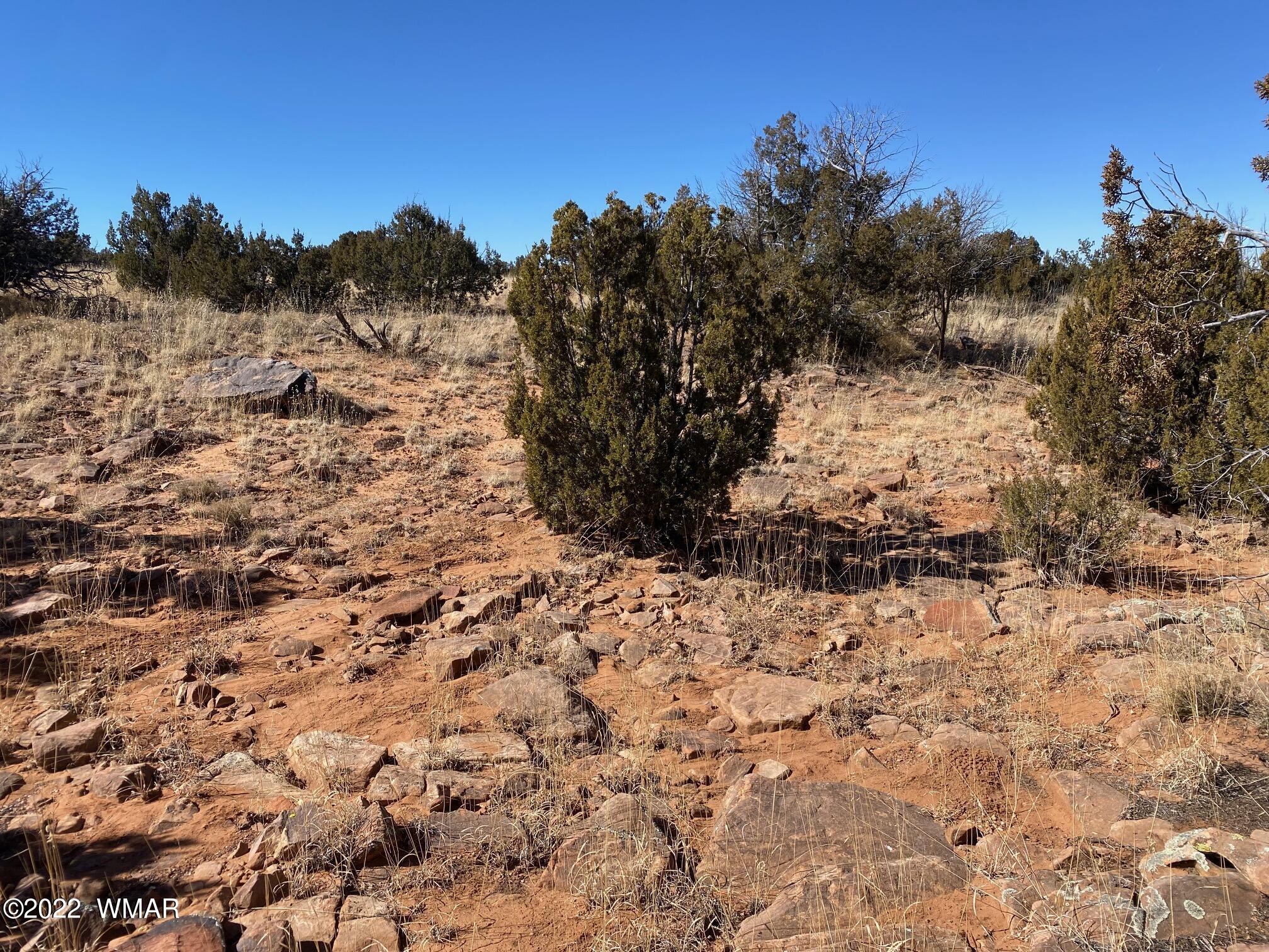 2410 Old Woodruff Road Snowflake, AZ 85937 - Photo 6 of 12