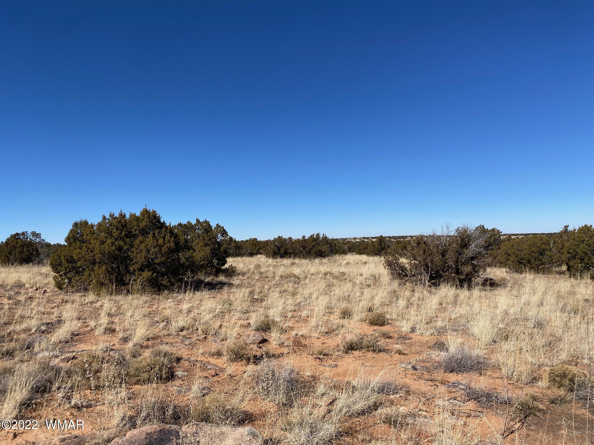 2410 Old Woodruff Road Snowflake, AZ 85937 - Photo 7 of 12
