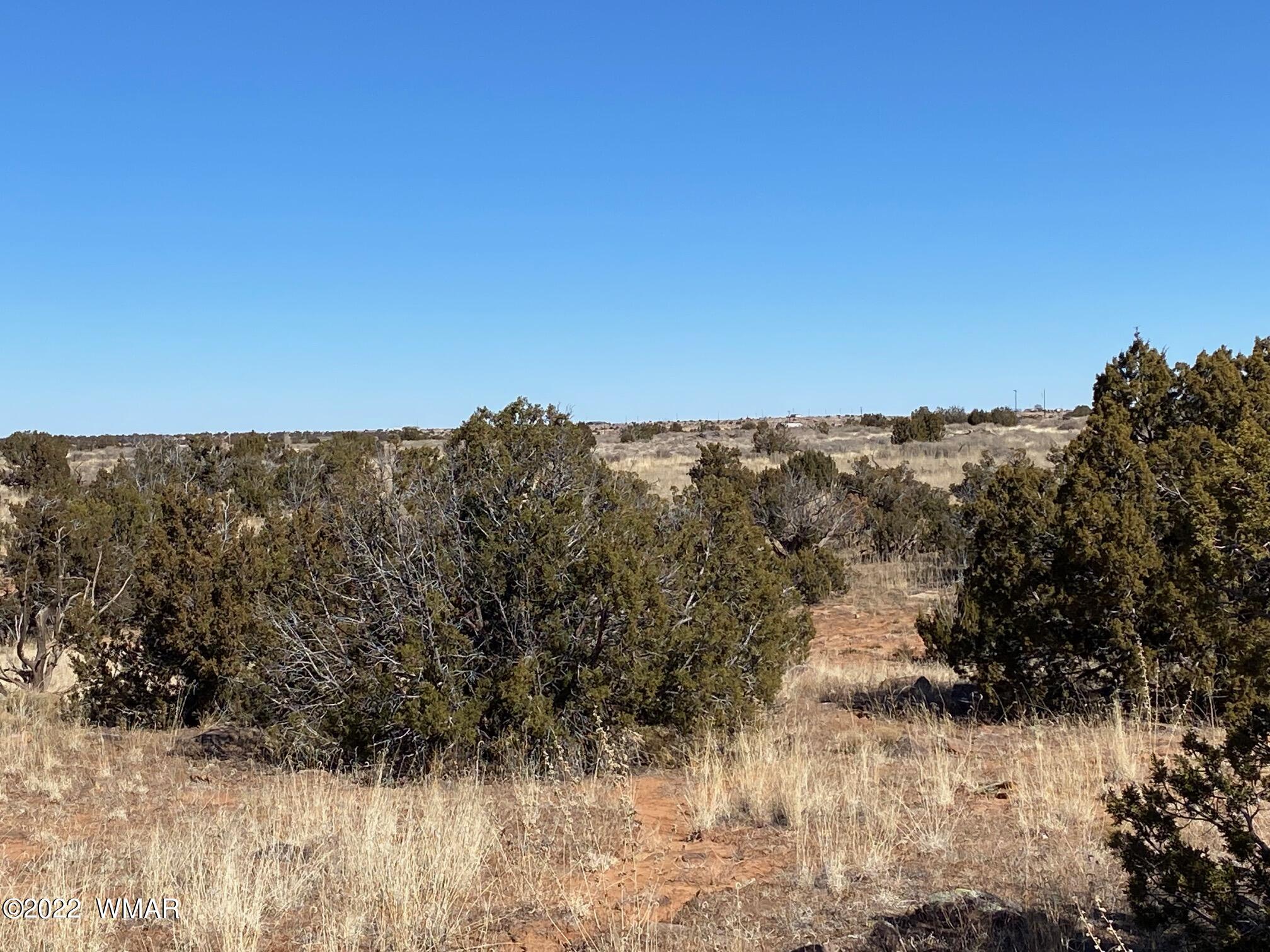 2410 Old Woodruff Road Snowflake, AZ 85937 - Photo 8 of 12