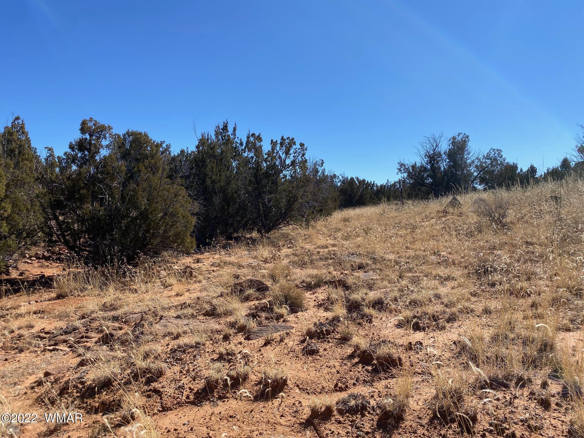 2410 Old Woodruff Road Snowflake, AZ 85937 - Photo 9 of 12