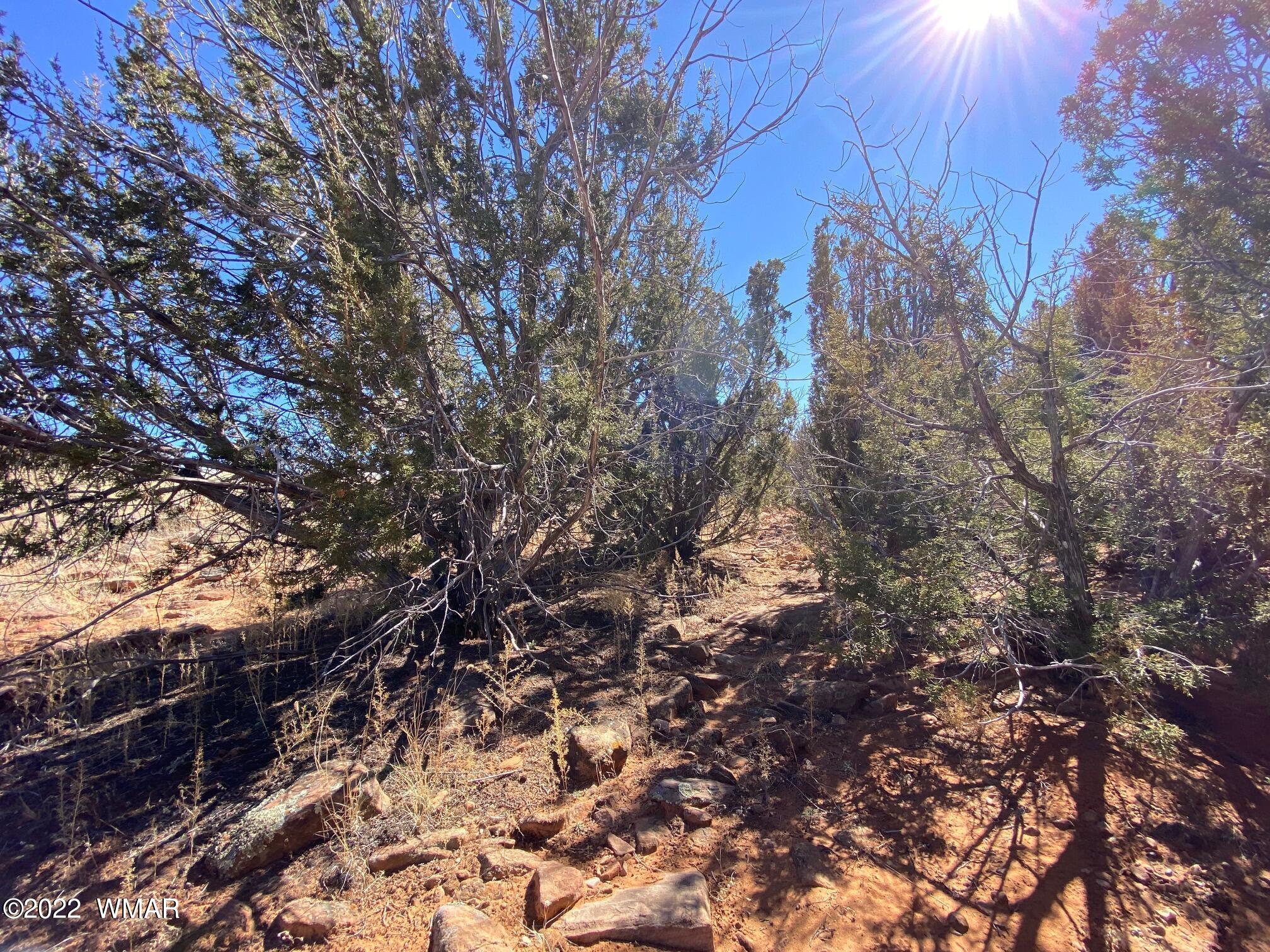 2410 Old Woodruff Road Snowflake, AZ 85937 - Photo 10 of 12
