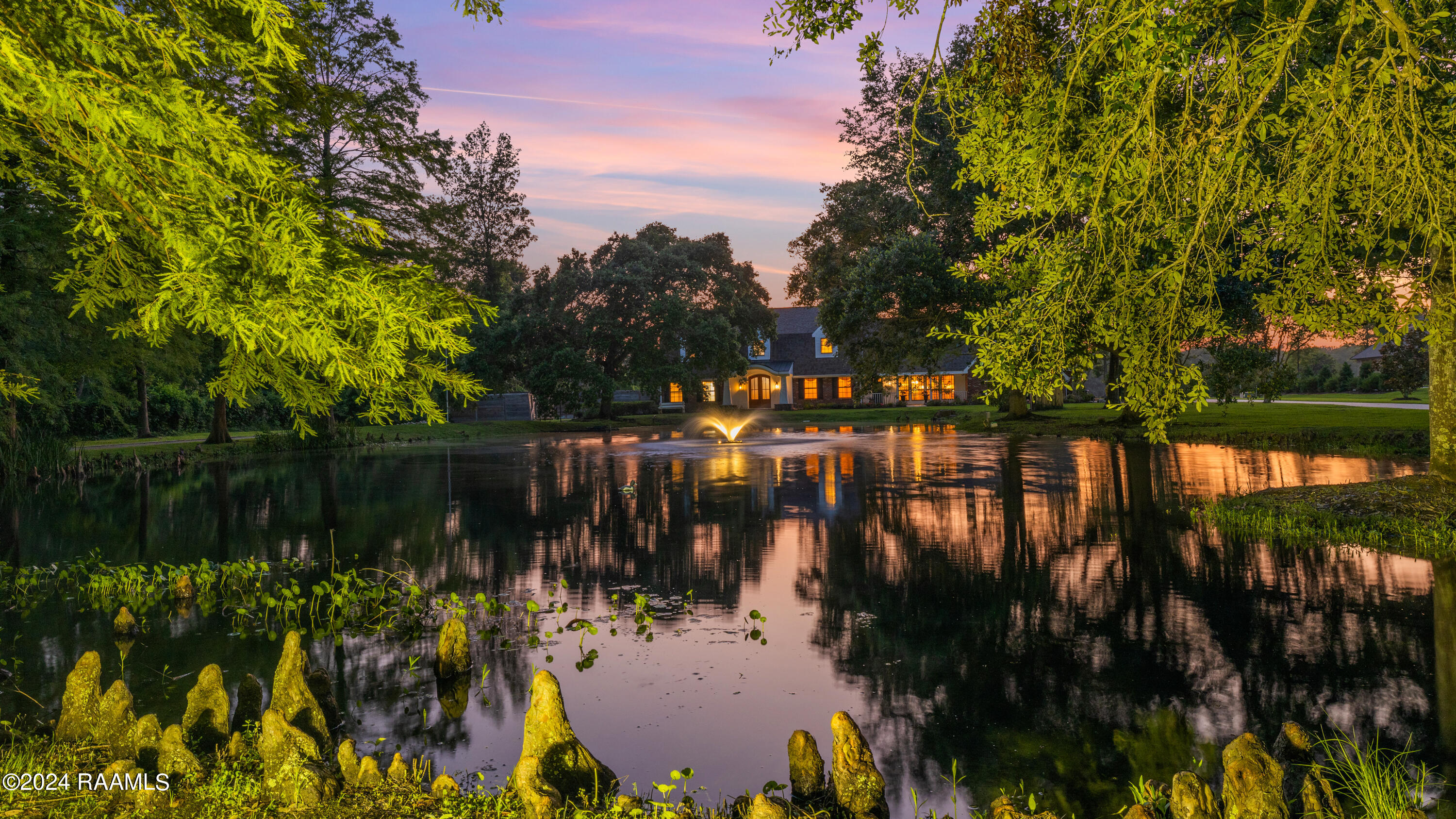 Pond with Cypress Knees