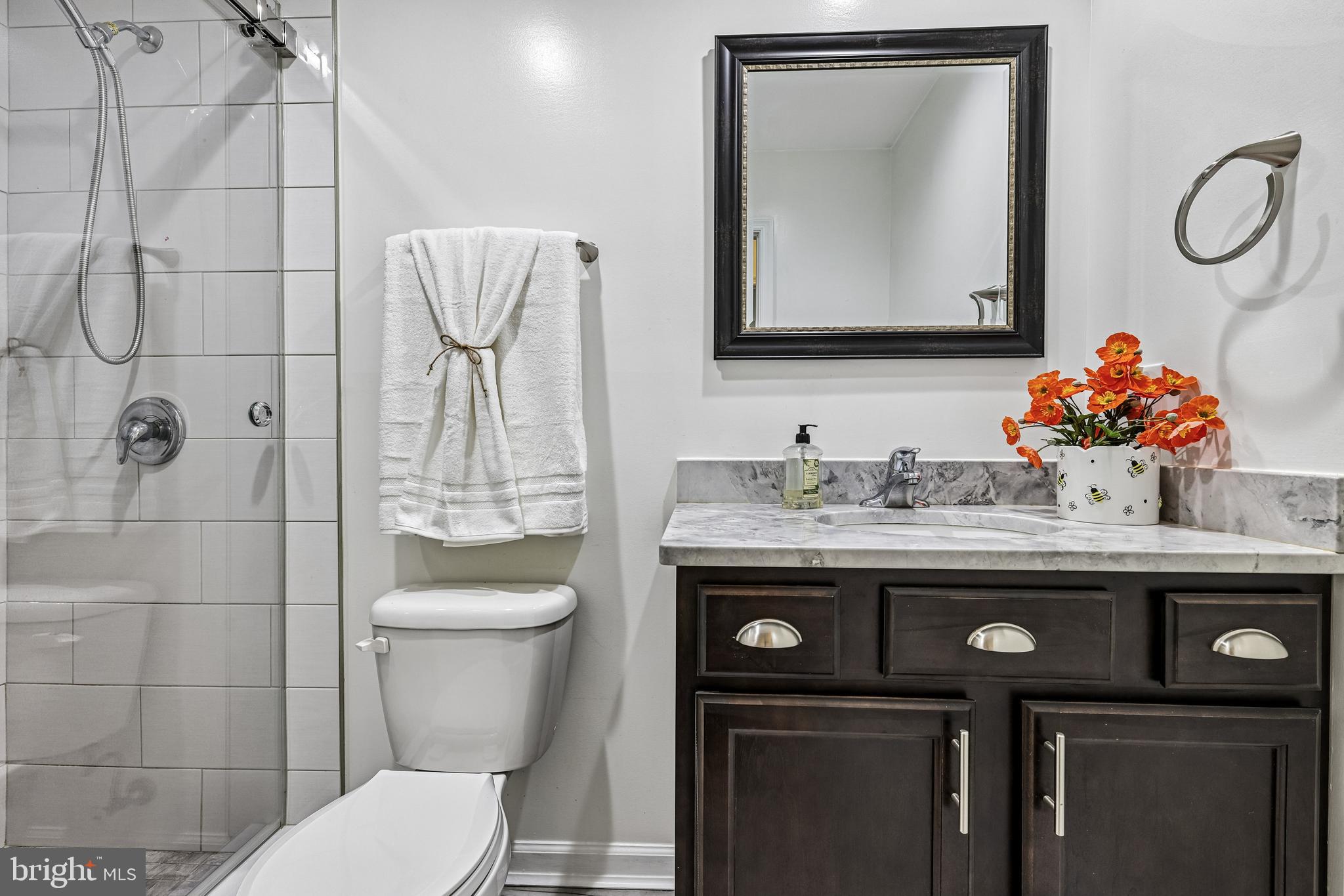 1550 Courthouse Road Catlett, VA 20119 - Photo 24 of 44 Hall bathroom/walk-in shower