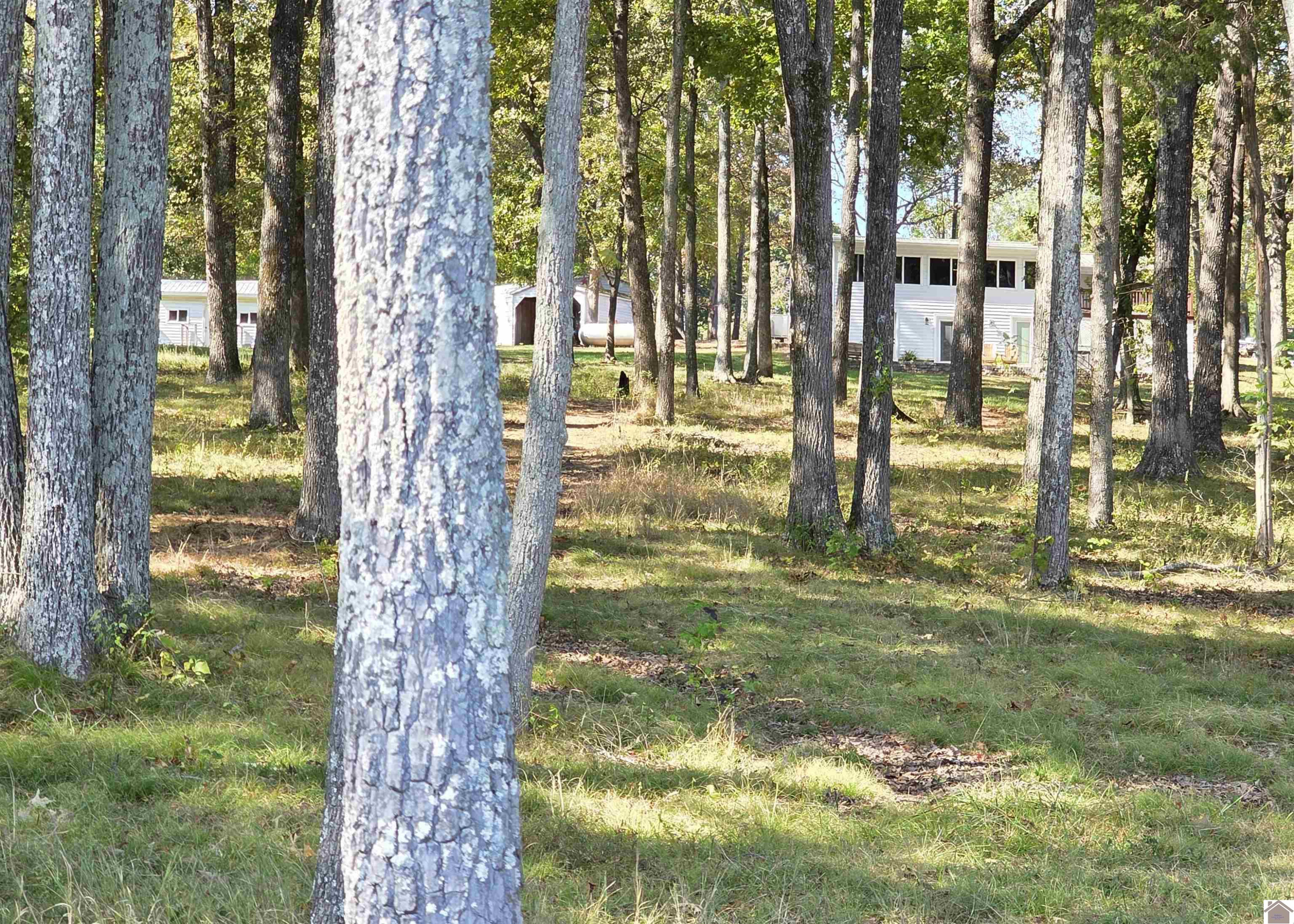 421 McNeely Road Benton, KY 42025 - Photo 28 of 50 Photo 28
