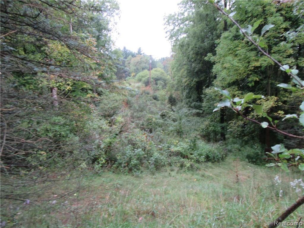 2575 Faussett Road Howell, MI 48855 - Photo 5 of 14 IMG_0508.JPG