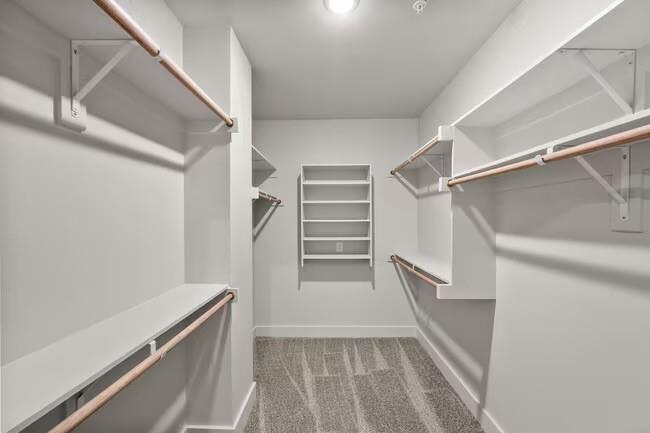 3751 Heritage Towne Blvd. Boulevard Midlothian, TX 76065 - Photo 9 of 20 a view of walk in closet with empty racks