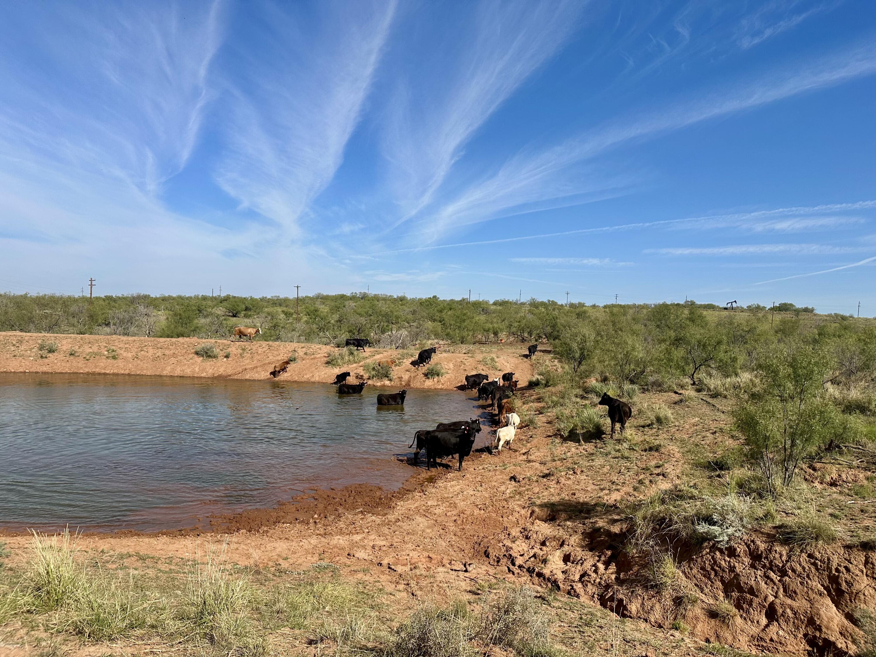 261 Fm 261 Spur Spur, TX 79370 - Photo 23 of 52 a view of lake view and mountain