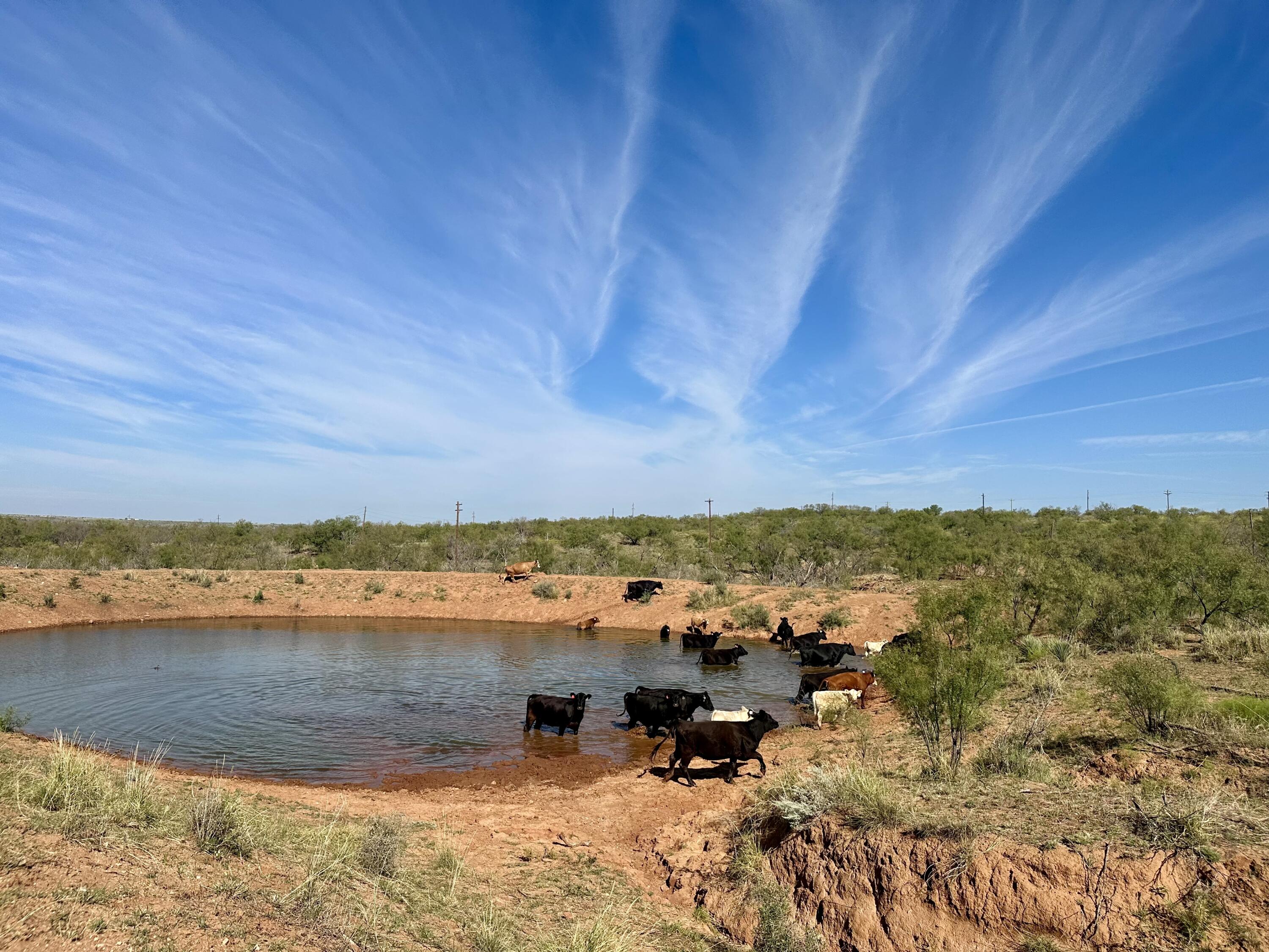 261 Fm 261 Spur Spur, TX 79370 - Photo 26 of 52 a view of lake with city view