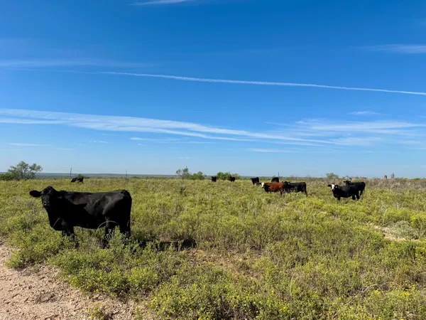 a view of lake view and mountain view