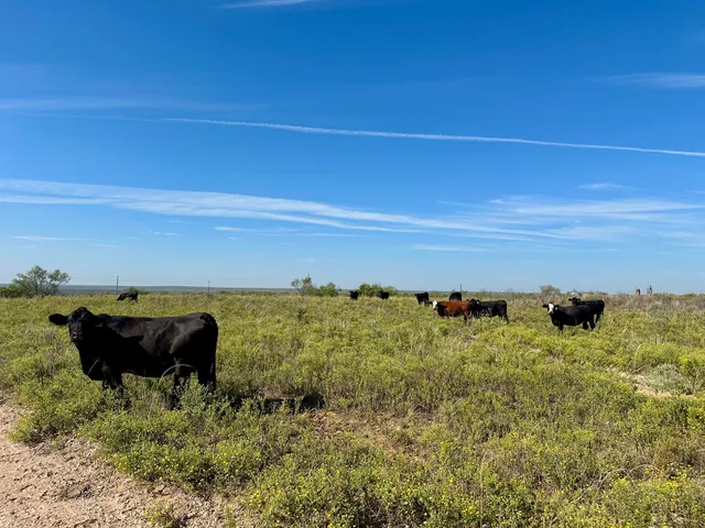 a view of lake view and mountain view