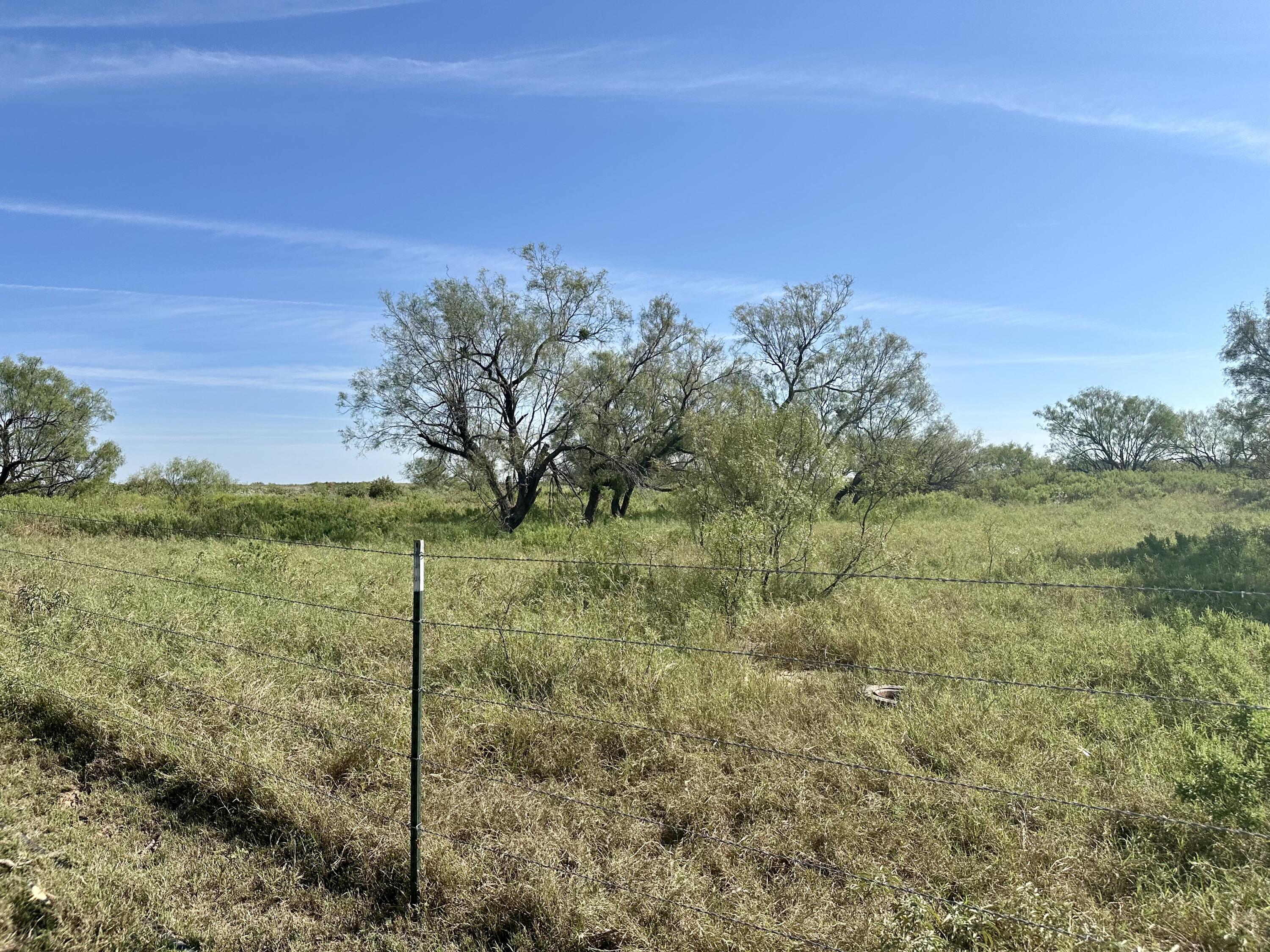 261 Fm 261 Spur Spur, TX 79370 - Photo 47 of 52 a view of a yard with an tree
