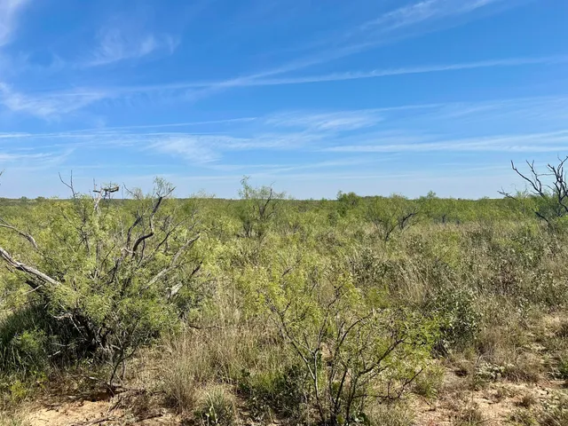 $3,699,000 | 261 Fm 261 Spur, Spur, TX 79370