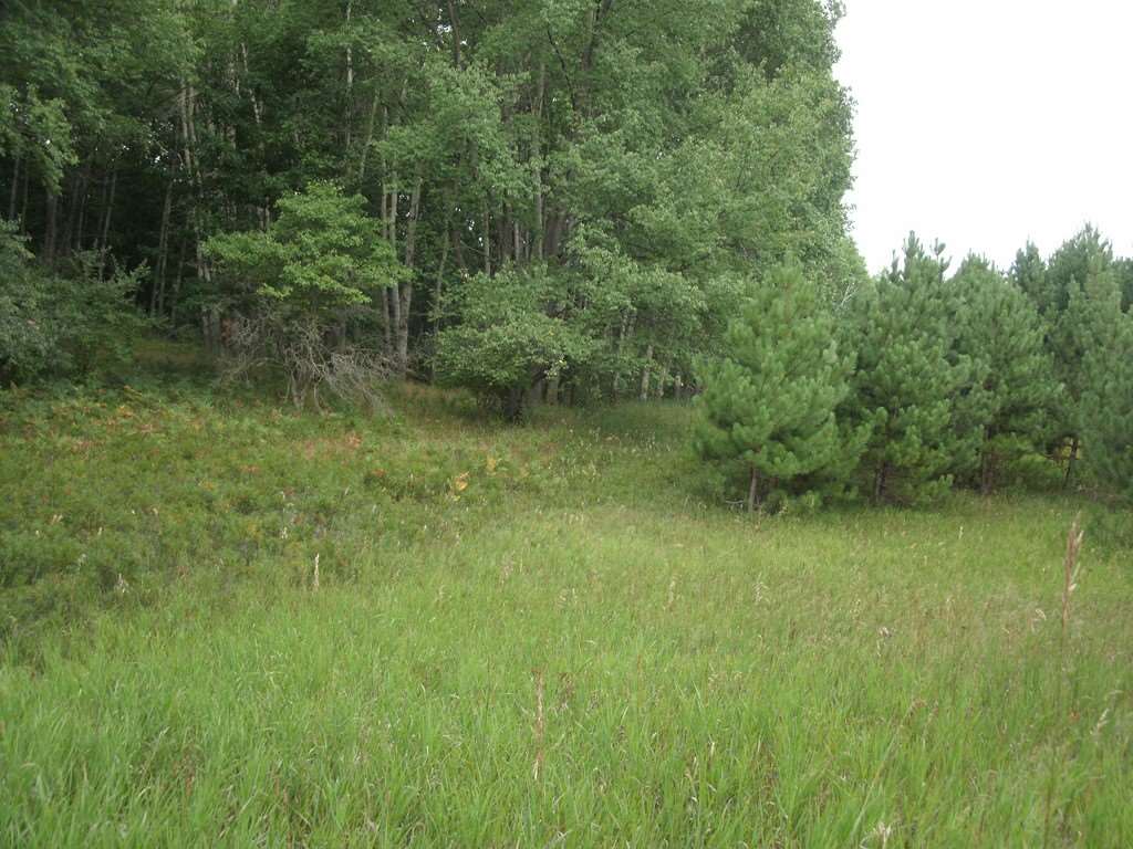 5473 North Rolland Road Lake, MI 48632 - Photo 13 of 13 1821617-12.JPG