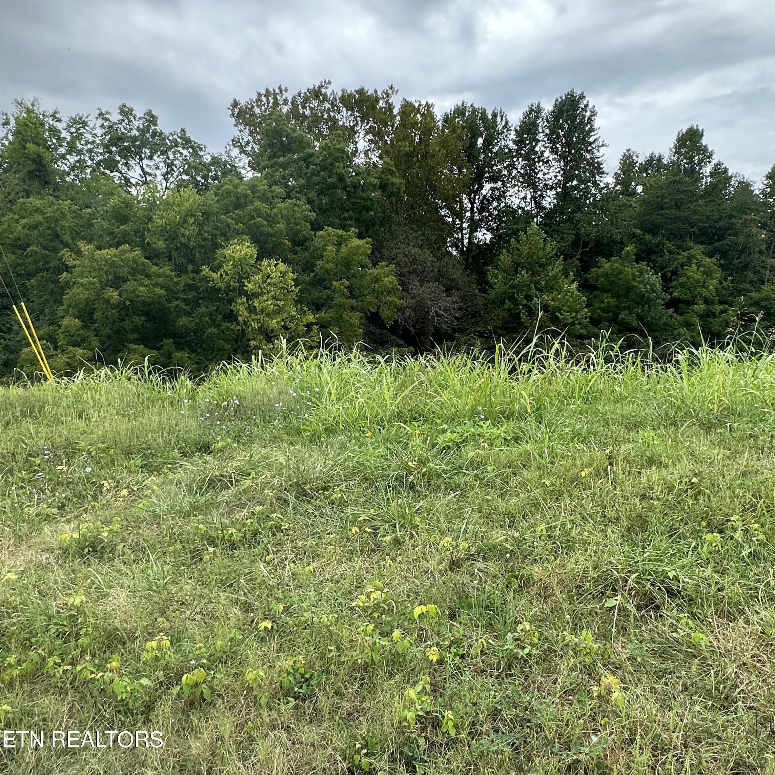 Bob Wright Road Maynardville, TN 37807 - Photo 13 of 14 lot 43