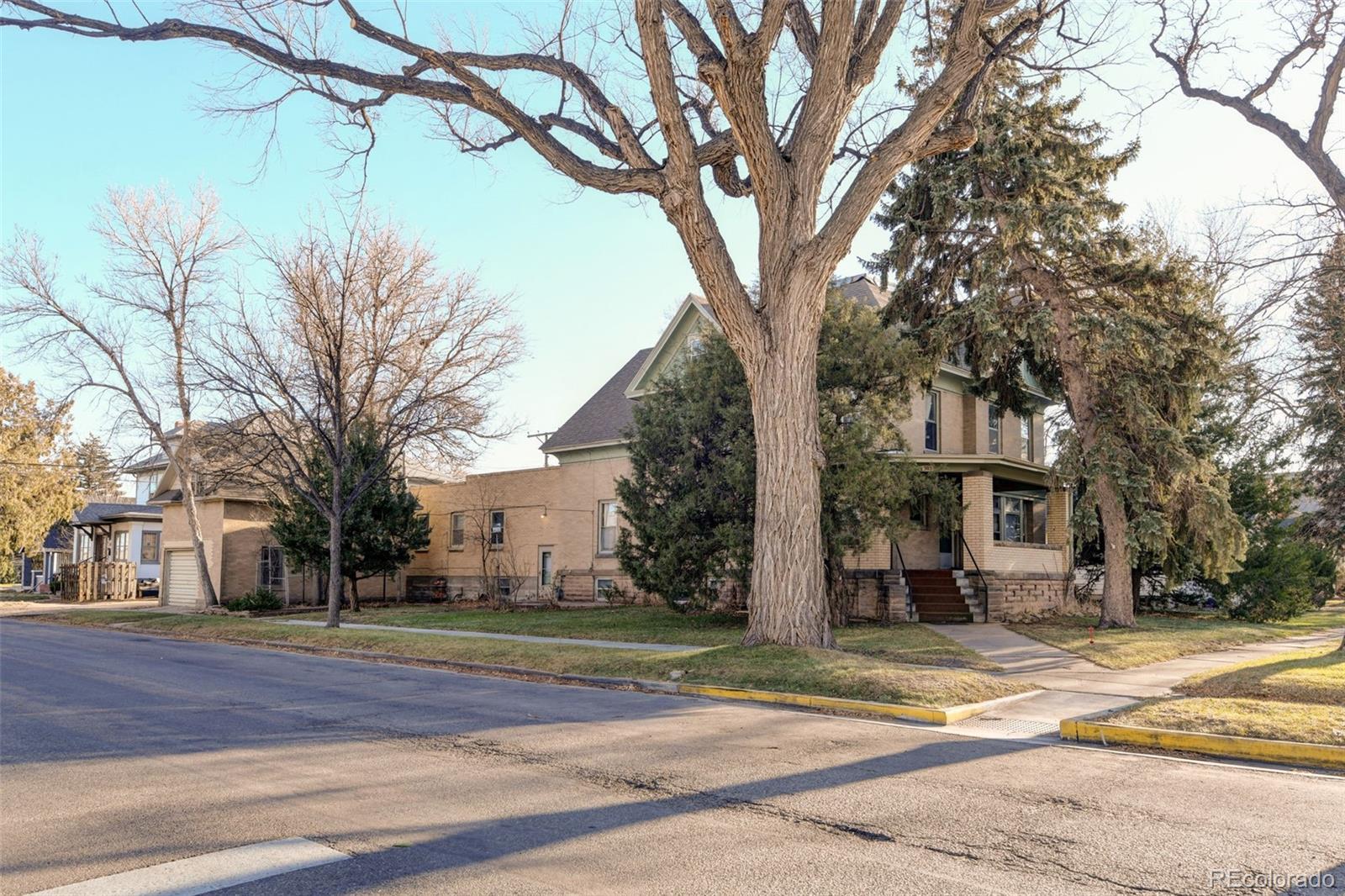 a view of a trees and a yard in the background