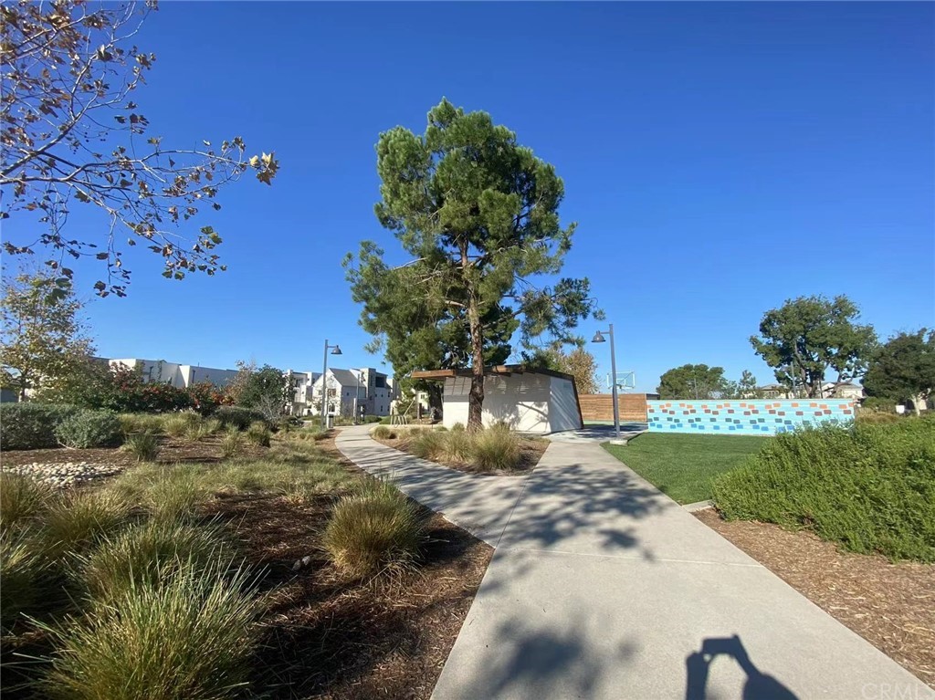 114 Spiral Irvine, CA 92618 - Photo 12 of 15 a view of a yard with a tree