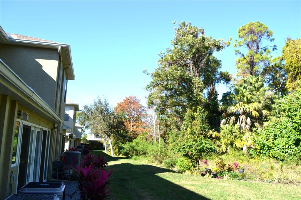 11158 Kapok Grand Circle Madeira Beach, FL 33708 - Photo 32 of 48 a view of a yard with plants and large trees