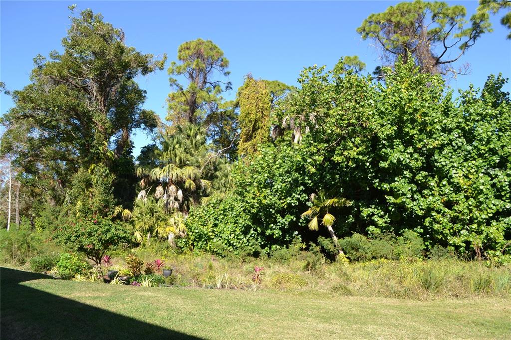 11158 Kapok Grand Circle Madeira Beach, FL 33708 - Photo 33 of 48 a view of a garden