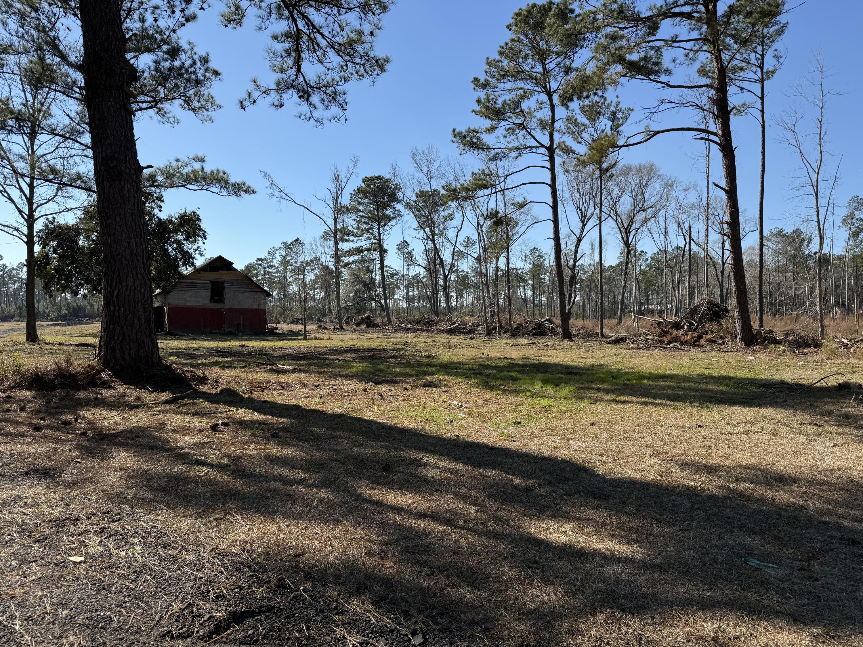 Lot B-1 Ridgeville Sc 29472 Ridgeville, SC 29472 - Photo 2 of 8 IMG_0190