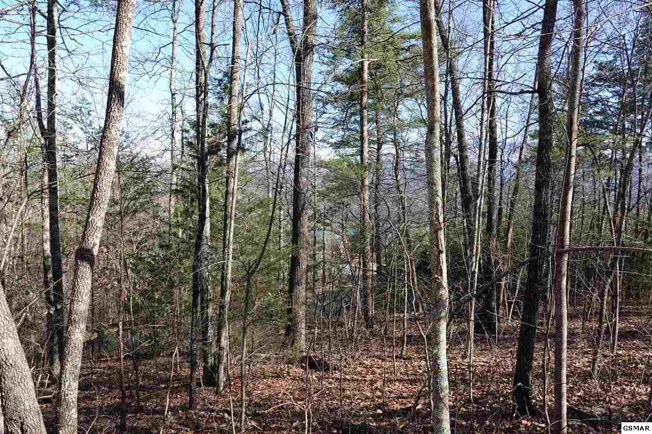 81 82a Shell Mountain Road Sevierville, TN 37876 - Photo 11 of 26