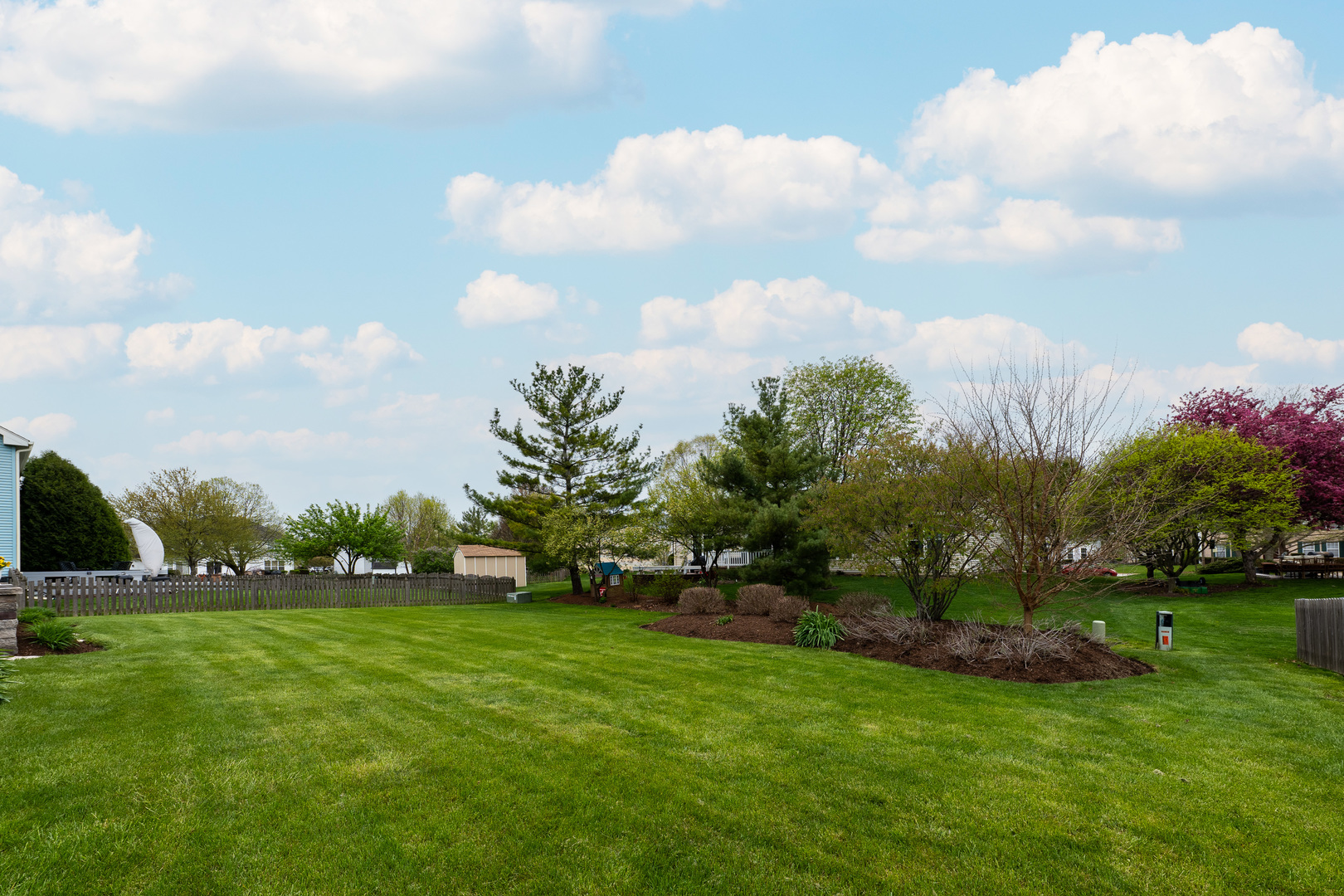 2040 Garfield Avenue Aurora, IL 60506 - Photo 32 of 32 a view of yard with grass and trees